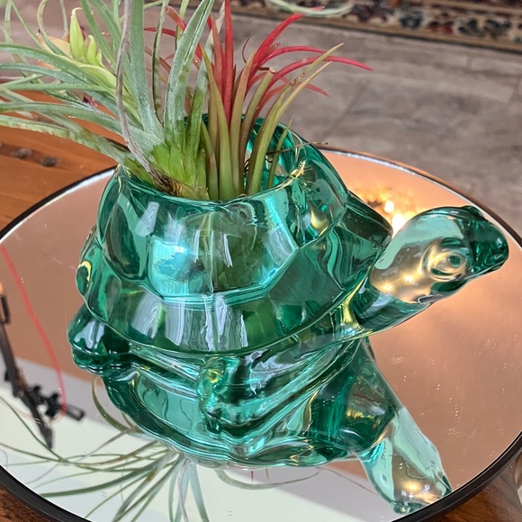 Vintage Indiana Glass Spanish Green Turtle votive or epiphyte plant holder more - Picture 10 of 10